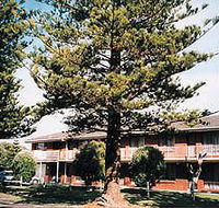 Eastern Beach Holiday Units - Great Ocean Road Tourism