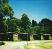 Katoomba Falls Caravan Park - Great Ocean Road Tourism