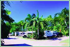Tropical Hibiscus Caravan Park - Great Ocean Road Tourism 0