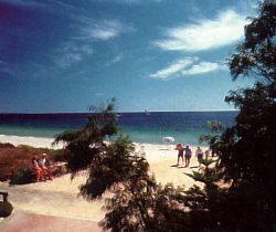 Acacia Caravan Park - Great Ocean Road Tourism 0