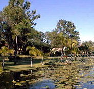 Twin Lakes Hotel - Great Ocean Road Tourism