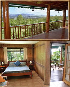 Atherton Blue Gum - Great Ocean Road Tourism 0