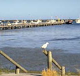 Seaview Motel and Holiday Units - Great Ocean Road Tourism