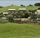 Ace Hi Riding Ranch - Great Ocean Road Tourism