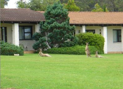 The Oaks Ranch & Country Club - Great Ocean Road Tourism 1