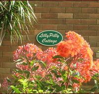 Lillypilly - Great Ocean Road Tourism