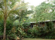 Kuranda Rainforest Accommodation Park - Great Ocean Road Tourism 3