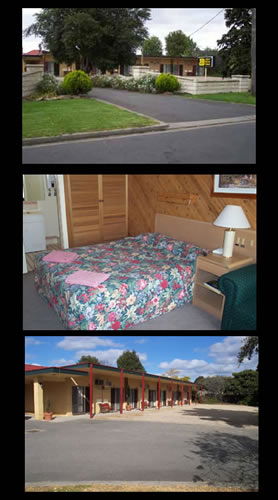 Ace Swan Motel - Great Ocean Road Tourism 0