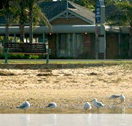 Best Western Coastal Waters Motor Inn - Great Ocean Road Tourism
