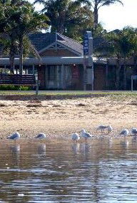 Best Western Coastal Waters Motor Inn - Great Ocean Road Tourism 2