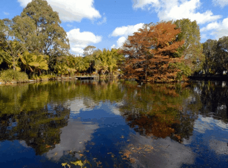 BIG4 Maroochy Palms Holiday Village - Great Ocean Road Tourism 2