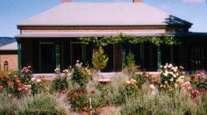 Mudgee NSW Great Ocean Road Tourism