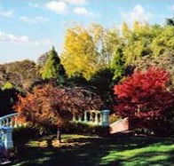 Edgelinks Bed And Breakfast - Great Ocean Road Tourism