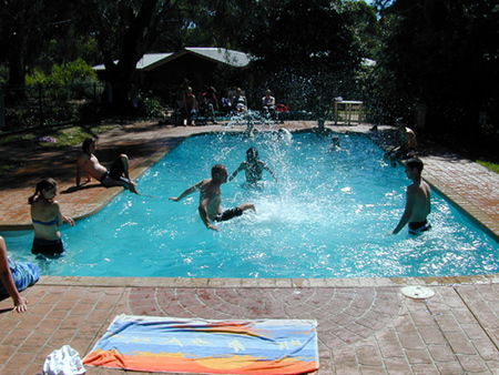 Koala Park Resort - Great Ocean Road Tourism 1