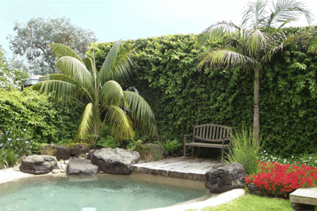 The Tropicana Motor Inn - Great Ocean Road Tourism 2