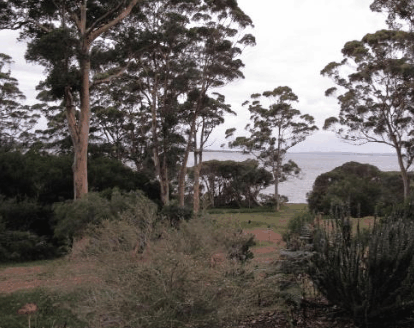 The Denmark Waterfront - Great Ocean Road Tourism
