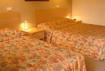 Best Western Tall Trees Motel - Great Ocean Road Tourism 1