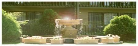 Best Western Tall Trees Motel - Great Ocean Road Tourism 2