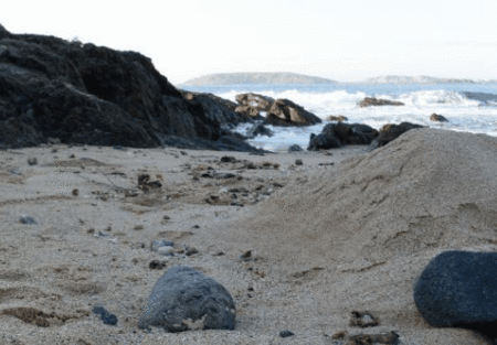 Hawaiian Sands Motor Inn - Great Ocean Road Tourism 4