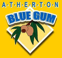 Atherton Blue Gum - Great Ocean Road Tourism 1
