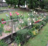 Kintail Homestay - Great Ocean Road Tourism