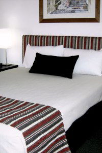 Cattle City Motor Inn - Great Ocean Road Tourism 1