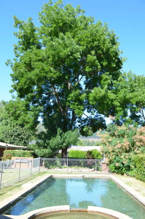 Bright Colonial Inn Motel - Great Ocean Road Tourism 4