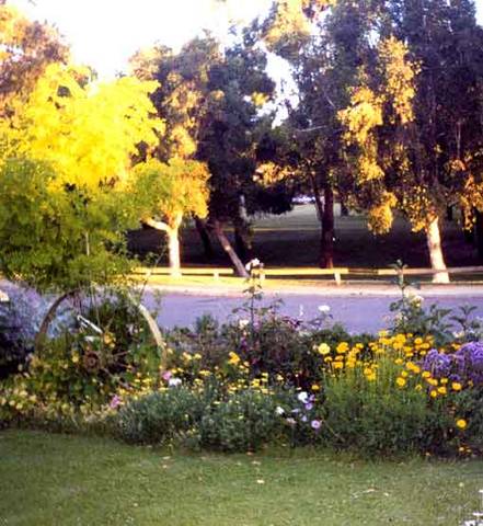 Parkside Bed And Breakfast - Great Ocean Road Tourism 1