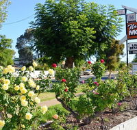 Narrogin Motel - Great Ocean Road Tourism