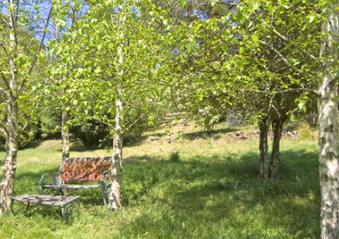 Tomah Mountain Lodge - Great Ocean Road Tourism 2