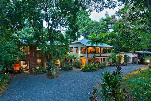 Daintree QLD Great Ocean Road Tourism