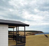 Waves and Wildlife - Great Ocean Road Tourism