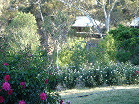 Watervale SA Great Ocean Road Tourism
