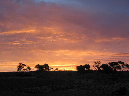 Willangi Bush Escapes - Great Ocean Road Tourism 1