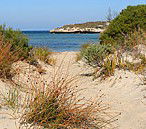 Marion Bay Caravan Park - Great Ocean Road Tourism 5