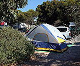 Marion Bay Caravan Park - Great Ocean Road Tourism 6