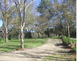 Kooringal Homestead - Great Ocean Road Tourism 2