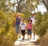 Long Island Caravan Park Cabins - Great Ocean Road Tourism