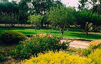 Naracoorte Cottages - Pinkerton Hill - Great Ocean Road Tourism 2