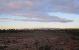 Wirrealpa Station - Great Ocean Road Tourism 3