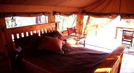 Jabiru Safari Lodge At Mareeba Wetlands - Great Ocean Road Tourism 1