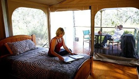 Jabiru Safari Lodge At Mareeba Wetlands - Great Ocean Road Tourism 2
