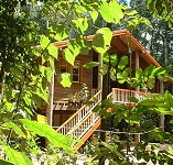 Rivers Edge Rainforest Retreat - Great Ocean Road Tourism