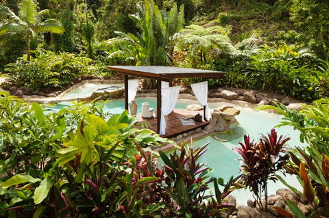 Misty Mountains Tropical Rainforest Romantic Retreat - Great Ocean Road Tourism 3