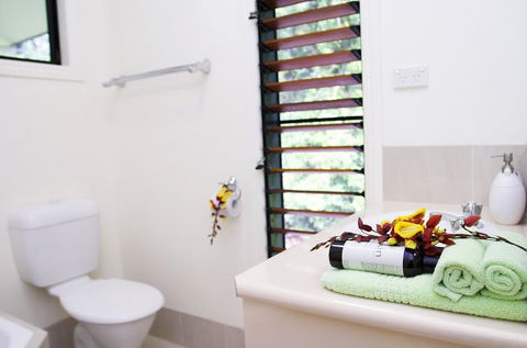 Misty Mountains Tropical Rainforest Romantic Retreat - Great Ocean Road Tourism 5