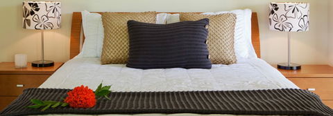 Misty Mountains Tropical Rainforest Romantic Retreat - Great Ocean Road Tourism 7