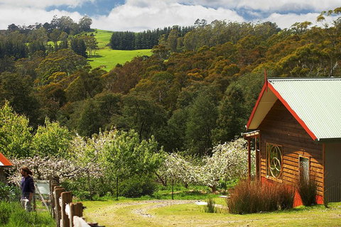 Elvenhome Farm Cottage - Great Ocean Road Tourism 5