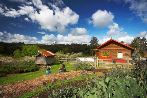 Elvenhome Farm Cottage - Great Ocean Road Tourism 6