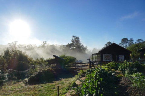 Elvenhome Farm Cottage - Great Ocean Road Tourism 9