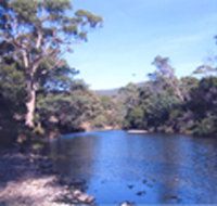 Douglas River Cabin - Great Ocean Road Tourism